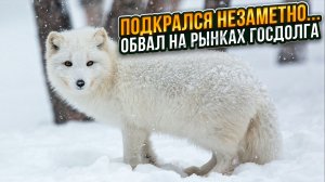 Подкрался незаметно... обвал на рынках госдолга