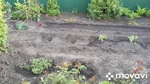 Домашние и огородные дела