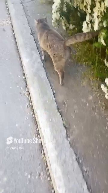 Днестровск
