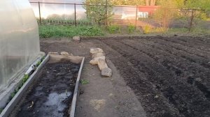 МУЖ ДЕЛАЕТ ДОРОЖКИ ВО ВТОРОМ ТЕПЛИЦЕ, САЖАЕМ КАРТОФЕЛЬ, СВЁКЛУ И ЦВЕТЫ.