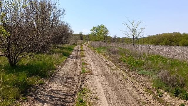 видео 2