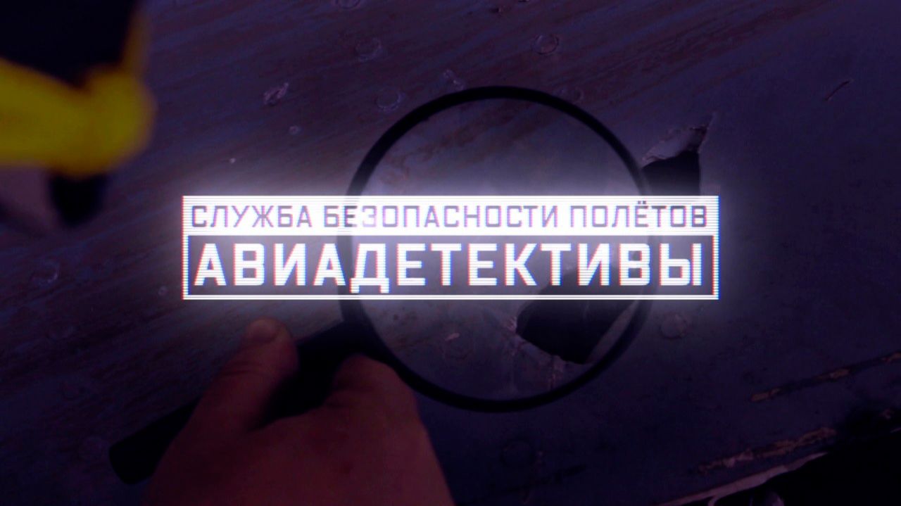 Служба безопасности полетов: авиадетективы (Военная приемка)