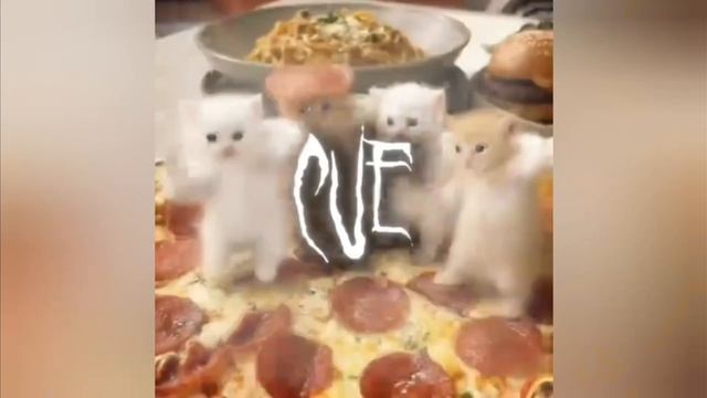 Kats
