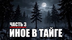 Страшные истории. ИНОЕ В ТАЙГЕ. Часть 3.