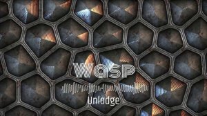 Unlodge - Wasp #bass_house #acid_house