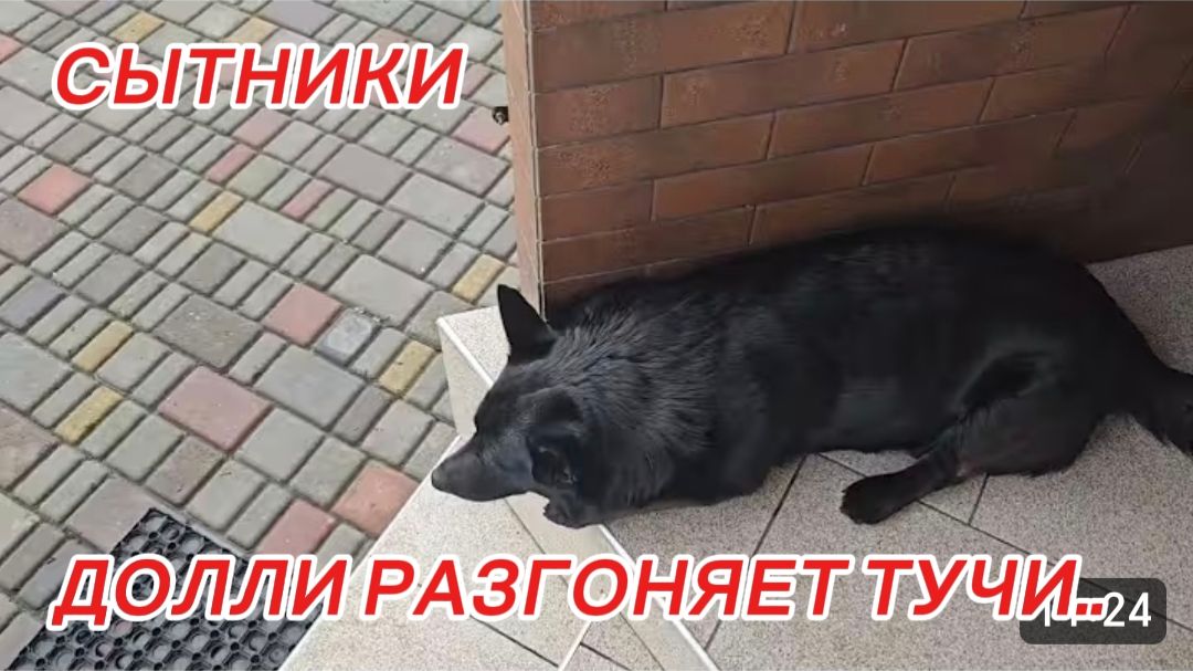 САМВЕЛ АДАМЯН, СЫТНИКИ ДОЛЛИ РАЗГОНЯЕТ ТУЧИ..