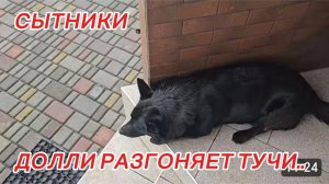 САМВЕЛ АДАМЯН, СЫТНИКИ ДОЛЛИ РАЗГОНЯЕТ ТУЧИ..