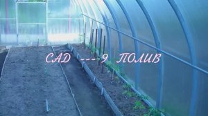 ПОЛИВКА  САДА  После  засухи