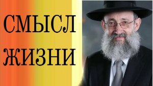 2020 Смысл жизни. Рав Ашер Кушнир