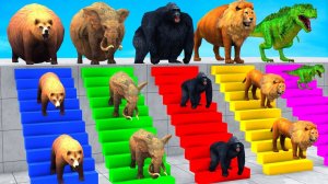 Корова, слон, Тигр, Горилла, Бегемот, 3d-животное, игра с длинными слайдами, Забавная 3d-раскраска