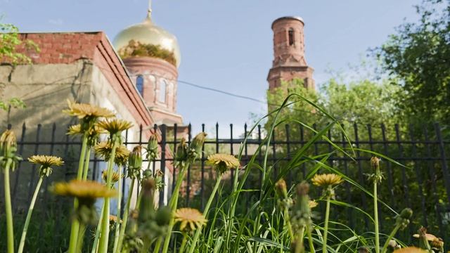Купол Церковь Лобня
