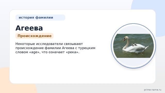 Фамилия Агеева: происхождение, значение и склонение