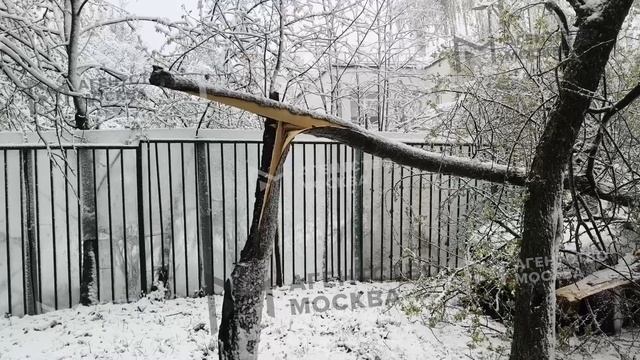 Снегопад в Москве