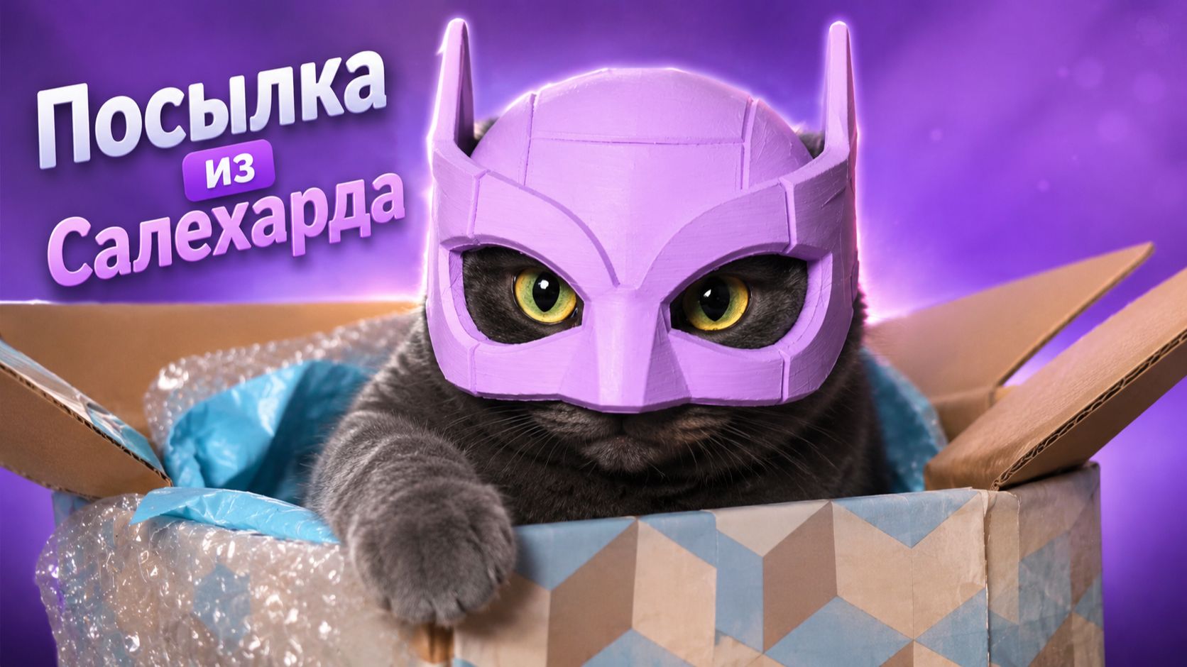 Супергеройский кот! Посылка от Милы Салехард