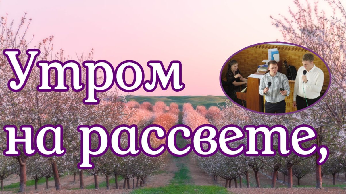 Утром на рассвете, очень рано  трио друзей