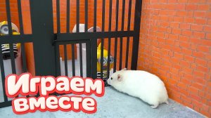ХОМЯК ПРОНИК В СЕКРЕТНЫЙ ЛАБИРИНТ 🐹 Играем ВМЕСТЕ ! №2 ! Помогаем выбраться из лабиринта !