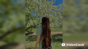 Новая Цыганская песня Raikaho 💥