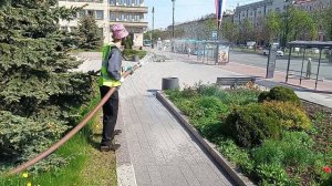 Аренда водовоза для полива деревьев, цветов, травы в Санкт-Петербурге