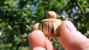 Шкатулка на цветущей сирени
