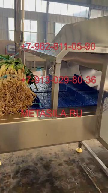 Машина для обрезки зеленого лука В30