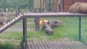 AYVR9819-20.05.2026-Видео от Ивана