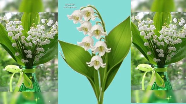 Ландыши.Красивые букеты.
Майский привет