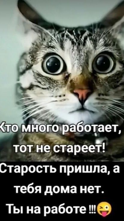 С удовольствием бежим на работу)))