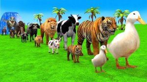 Раскрась животных: Корову, утку, Слона, Тигра, Бегемота, Забавную 3d-трансформацию животных