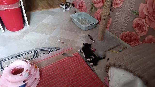 Доброе и активное  утро у наших малышей.🙂🎆🙂 Смотрите, какой прогресс, благодаря лечению🙏🙏🙏
