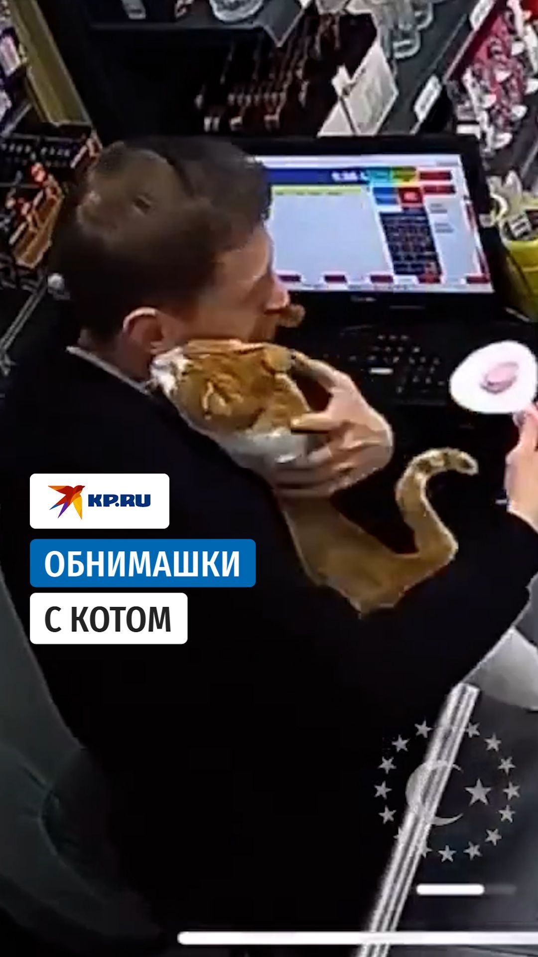 В Турции кот приходит в магазин за объятиями