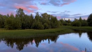 Медвежьегорск, Онежское озеро и городской парк, 07.08.2025