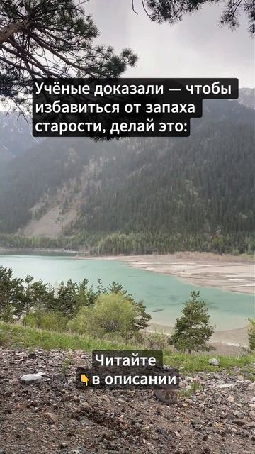 Учёные доказали...