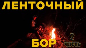 АЛТАЙ. СОЛО ВЫЖИВАНИЕ В ЛЕСУ. Велопоход. 2 часть