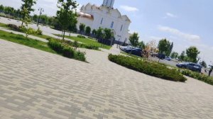 Мотор грибочки-2