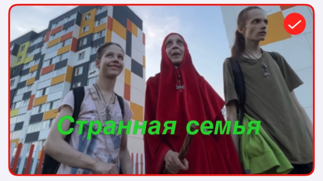 Вася на сене. Странная семья