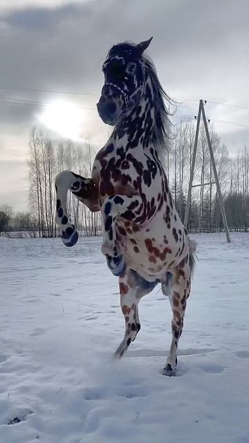 Прекрасного дня всем