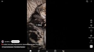 котики