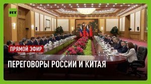 Владимир Путин и Си Цзиньпинь проводят российско-китайские переговоры