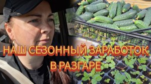 Весенний день год кормит.Пока мы с мужем на заработках, дети с бабушкой-няней. Огород  2026