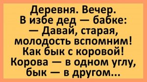 Дед подкатывает к бабке: а давай, как бык с коровой... | Анекдоты смешные | Юмор