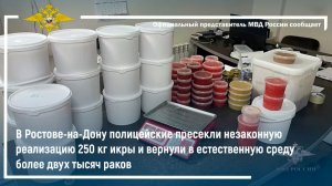 Ростовская полиция пресекла незаконную продажу икры и вернула в естественную среду более 2000 раков