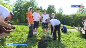 В Кирове дан старт благоустройству парка у Дворца творчества – Мемориал