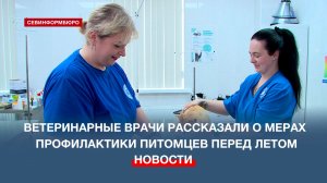 Как подготовить домашних животных к летнему сезону