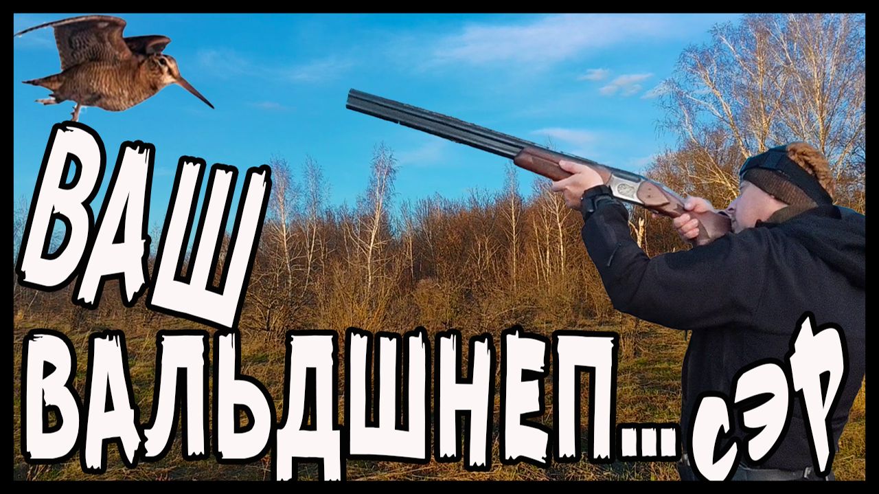 Охота на вальдшнепа на весенней тяге