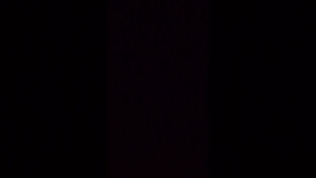 коты воители огонь и лёд 2часть