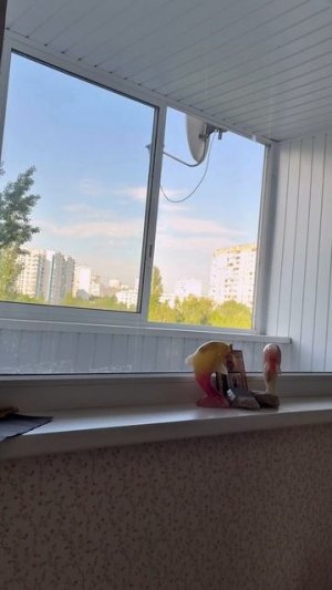 ЕленаУшанкова сбой системы