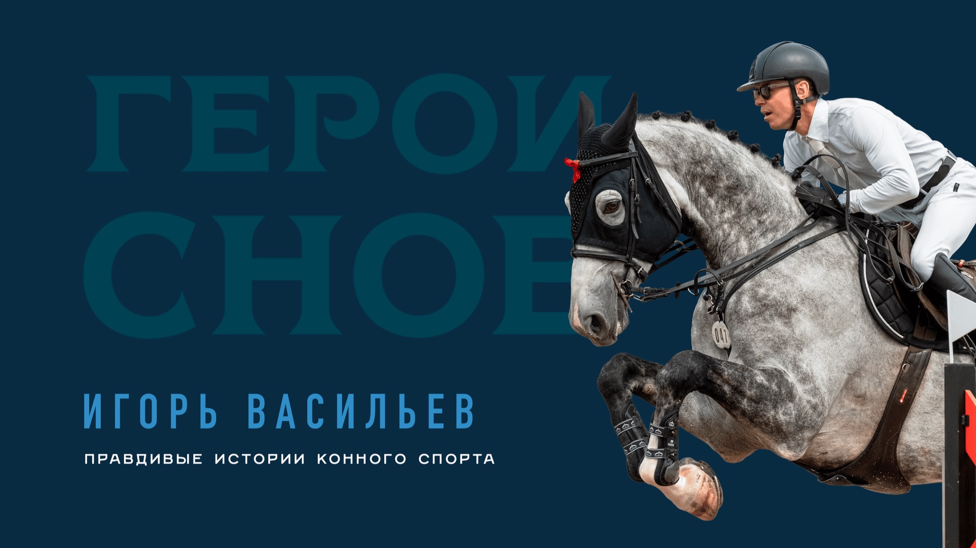 Игорь Васильев. Правдивые истории конного спорта