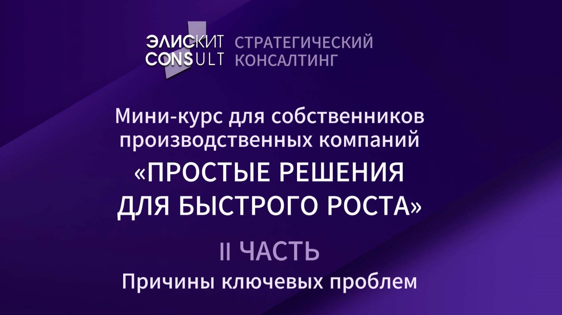 ЭлискитConsult. Мини-курс для производственных компаний «Простые решения для быстрого роста» Часть 2