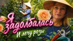 Работы — море. Денег — нет 😅