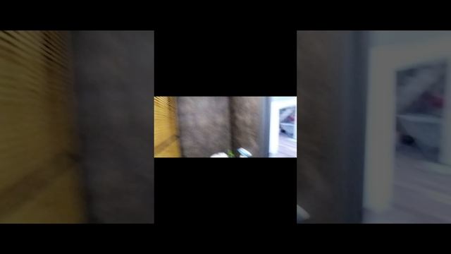 1000885441.mp4